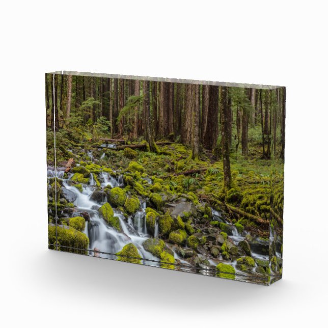 Olympic National Park, Washington State Photo Block (Right)
