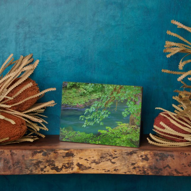 Olympic National Park Washington State Plaque (Side)