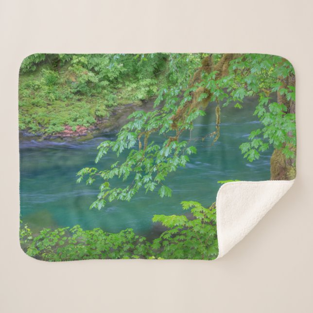 Olympic National Park Washington State Sherpa Blanket (Front (Horizontal))