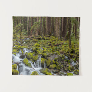 Olympic National Park, Washington State Tapestry
