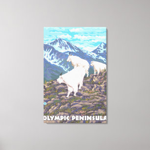 Olympic Peninsula, WashingtonMountain Goats Canvas Print