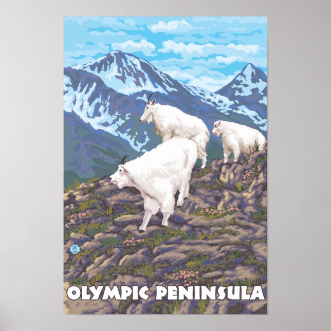 Olympic Peninsula, WashingtonMountain Goats Poster (Front)