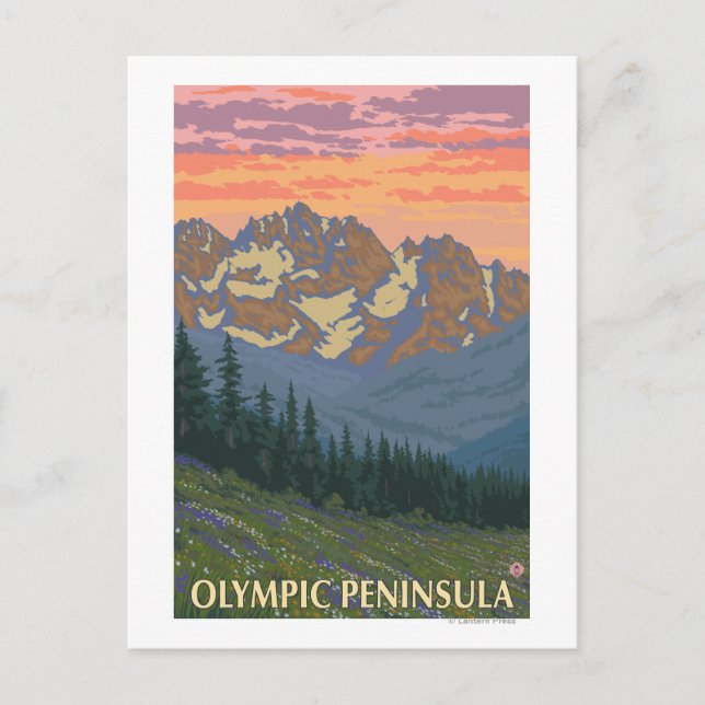 Olympic Peninsula, WashingtonSpring Flowers Postcard (Front)