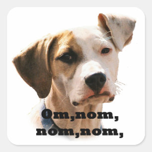 Om, nom, nom, nom, square sticker