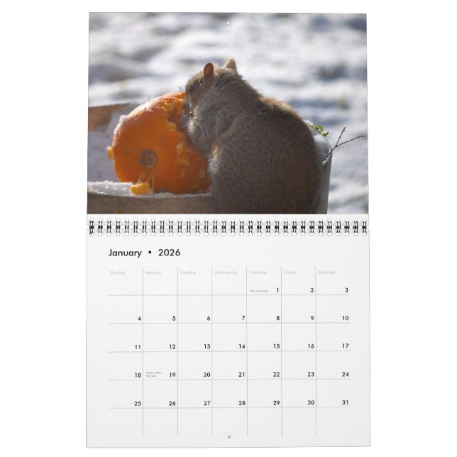 Om Nom Squirrel 2013 Calendar (Jan 2026)