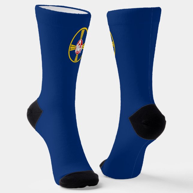 Omaha (Nebraska) city flag Socks (Angled)