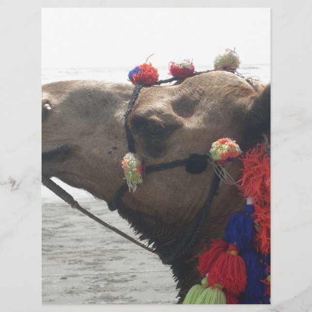 Oman! Muscat (Front)