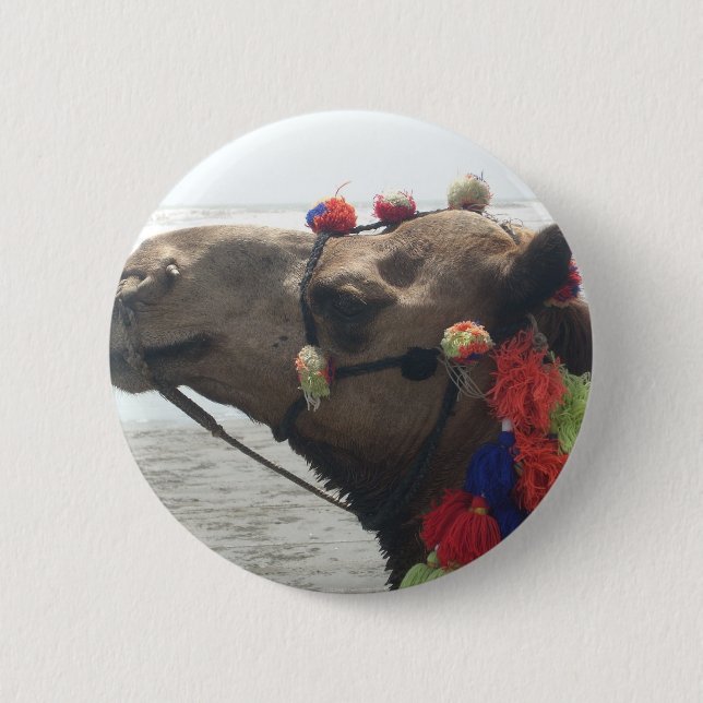 Oman Muscat Camel Photo Art Print 6 Cm Round Badge (Front)