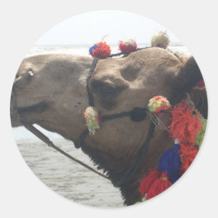 Oman Muscat Camel Photo Art Print Classic Round Sticker