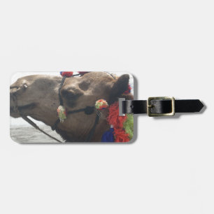 Oman Muscat Camel Photo Art Print Luggage Tag