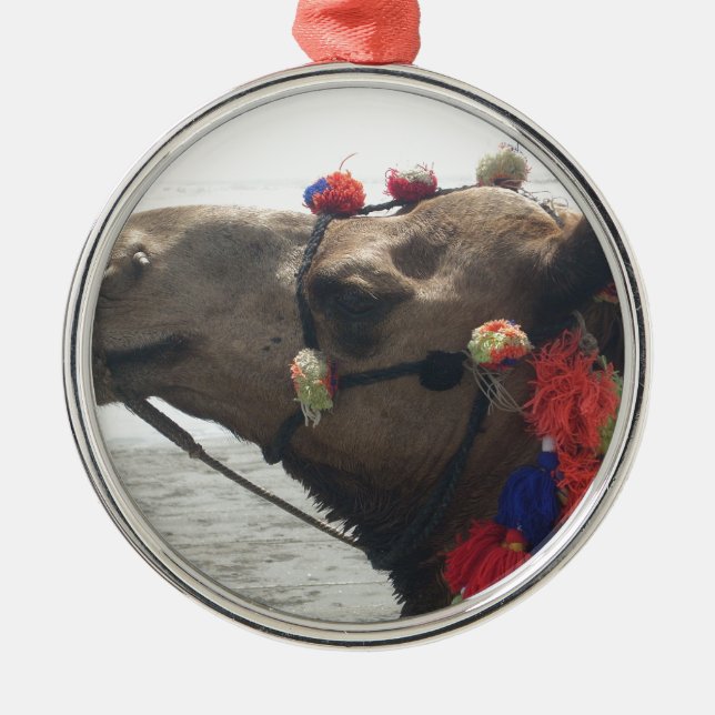 Oman Muscat Camel Photo Art Print Metal Tree Decoration (Front)
