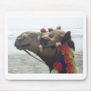 Oman Muscat Camel Photo Art Print Mouse Mat