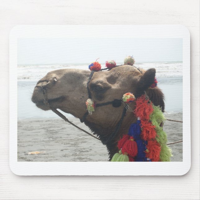 Oman Muscat Camel Photo Art Print Mouse Mat (Front)