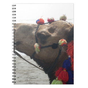 Oman Muscat Camel Photo Art Print Notebook
