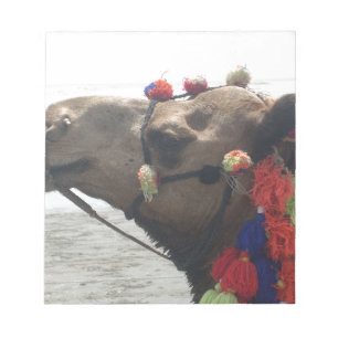 Oman Muscat Camel Photo Art Print Notepad