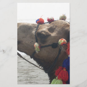Oman Muscat Camel Photo Art Print Stationery
