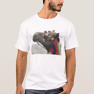 Oman Muscat Camel Photo Art Print T-Shirt