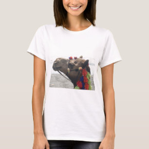 Oman Muscat Camel Photo Art Print T-Shirt