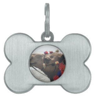 Oman! Muscat Pet Name Tag