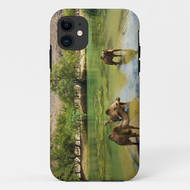 Oman, Wadi darbat Case-Mate iPhone Case (Back)