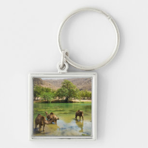 Oman, Wadi darbat Key Ring