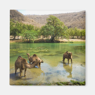 Oman, Wadi darbat Magnet