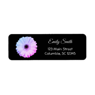 Ombre Gerbera Daisy on Black   Return Address