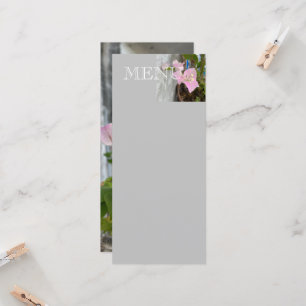 ombre pink bougainvillea or paper flower, tropical