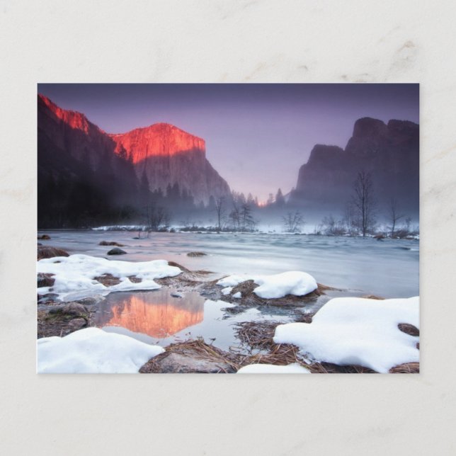 Omega Red Postcard (Front)