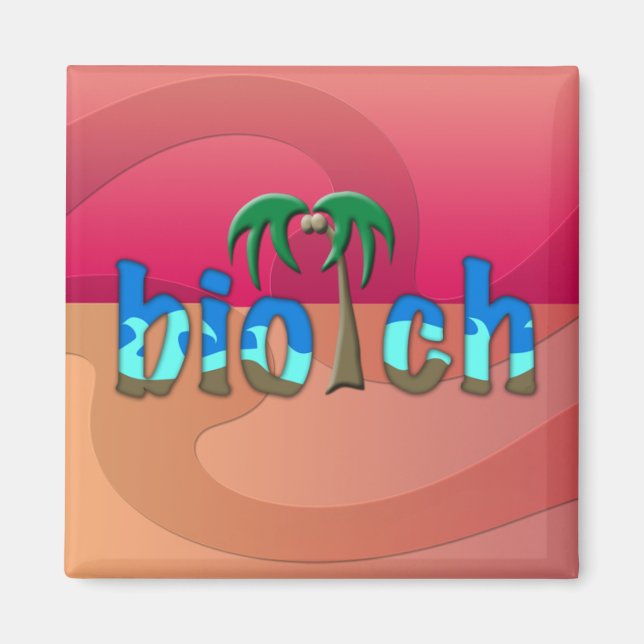 OMG! biotch Magnet (Front)