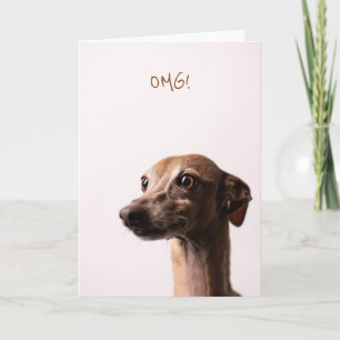 OMG dog card