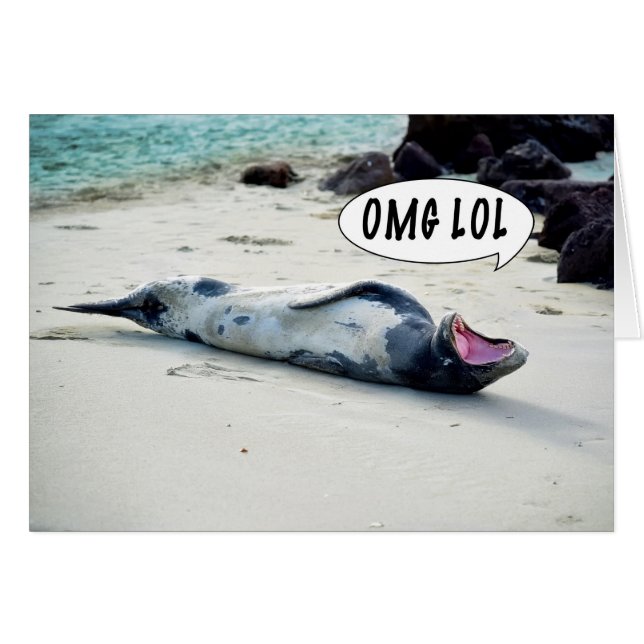 OMG LOL SEAL (Front Horizontal)