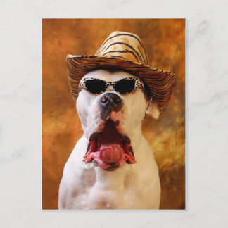 OMG! POSTCARD