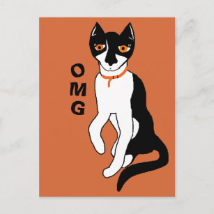 OMG says Nos CC0853 cat personality Postcard