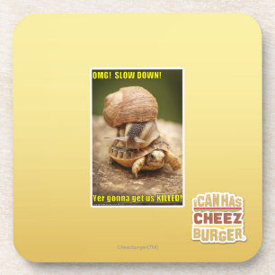OMG! Slow down! Coaster