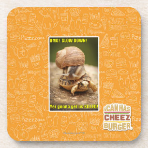 OMG! Slow down! Coaster