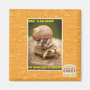 OMG! Slow down! Magnet