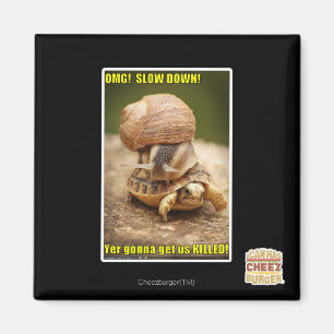 OMG! Slow down! Magnet
