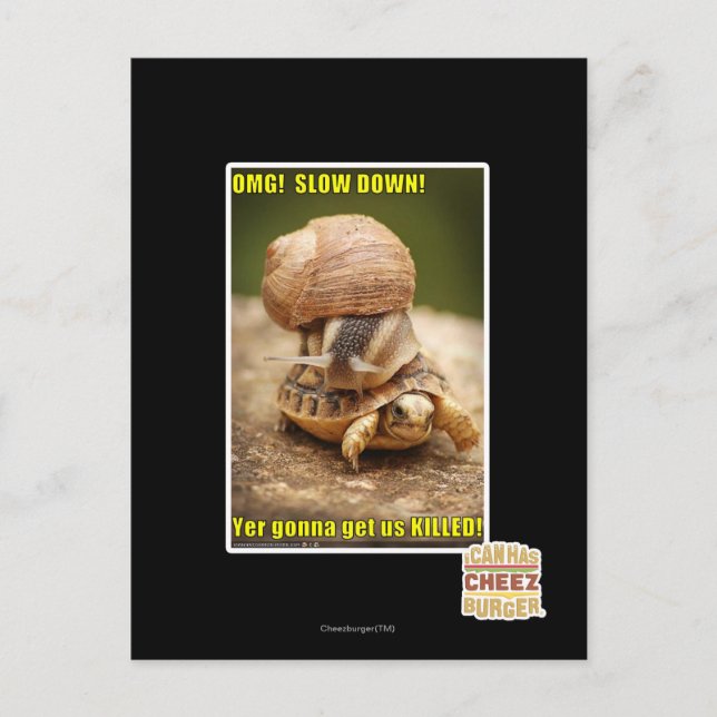 OMG! Slow down! Postcard (Front)