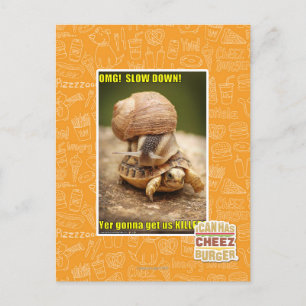OMG! Slow down! Postcard
