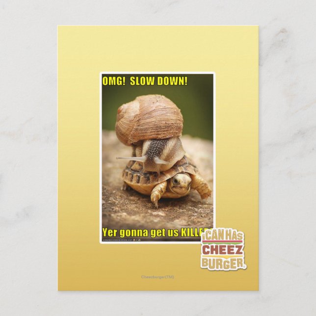 OMG! Slow down! Postcard (Front)