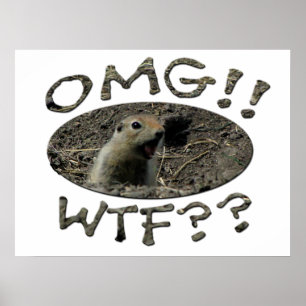 OMG WTF Gopher Poster