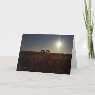 OMRH Christmas 2008 Holiday Card