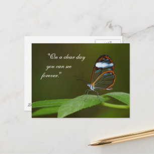 "On a Clear Day" Glasswing Butterfly Design Postcard