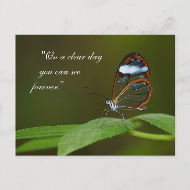 "On a Clear Day" Glasswing Butterfly Design Postcard (Front)