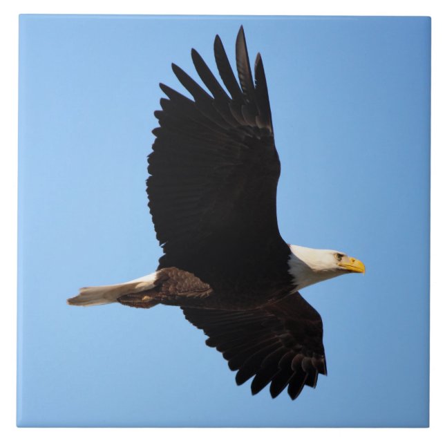 On Eagle Wings Ceramic Tile (Front)