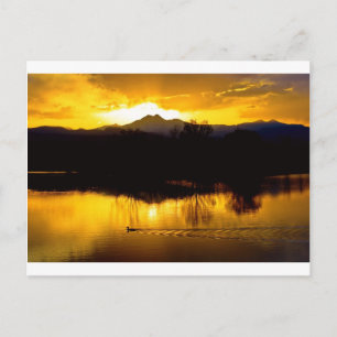 On Golden Ponds Postcard