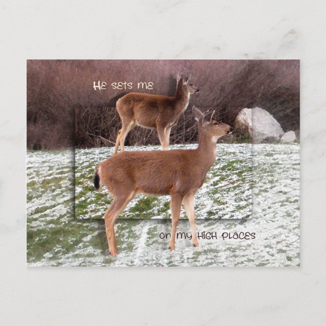 On High Places Postcard (Front)