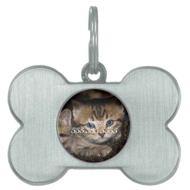 On Momma's Back Pet ID Tag (Front)