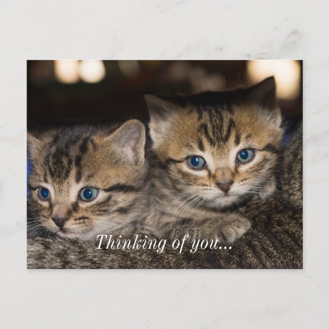 On Momma's Back Thinking Of You Postcard (Front)
